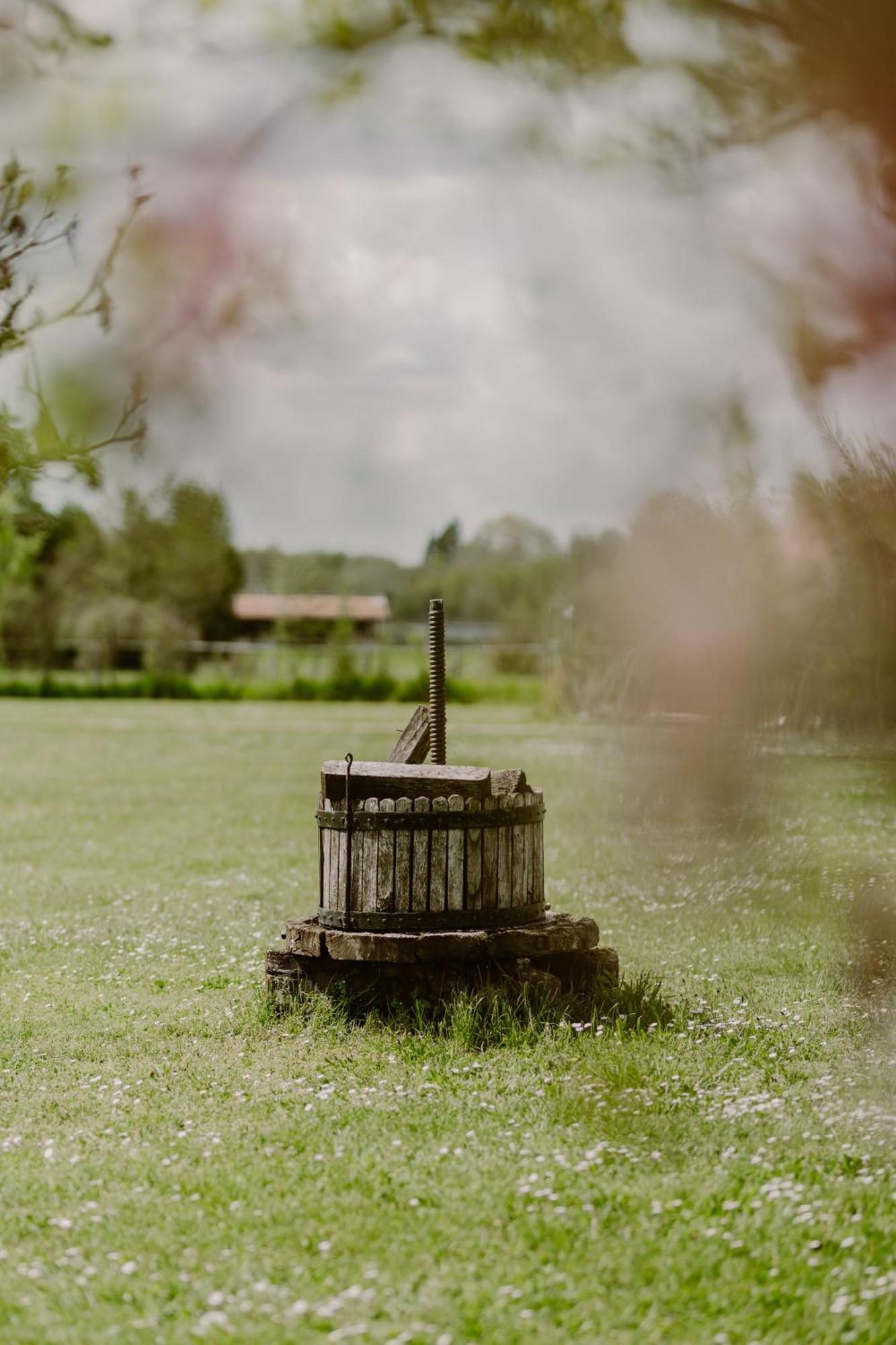 Domessin Domaine Les Hirondelles Carmenヴィラ エクステリア 写真